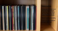 proper vinyl record storage