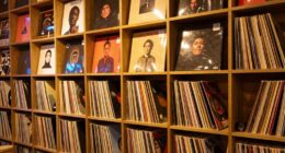 showcase collections with shelves