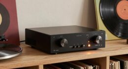 vinyl audio preamp explanation