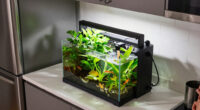 NYC Apartment Aquaponics