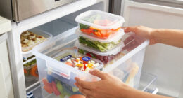 Costco’s Newest Storage Find Will Make Your Freezer Feel 2X As Big