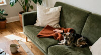 Curated Finds For Kristie — Sofas